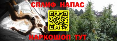 прущая мука Беслан