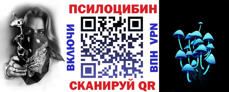 Галлюциногенные грибы Psilocybine cubensis  Заводоуковск 