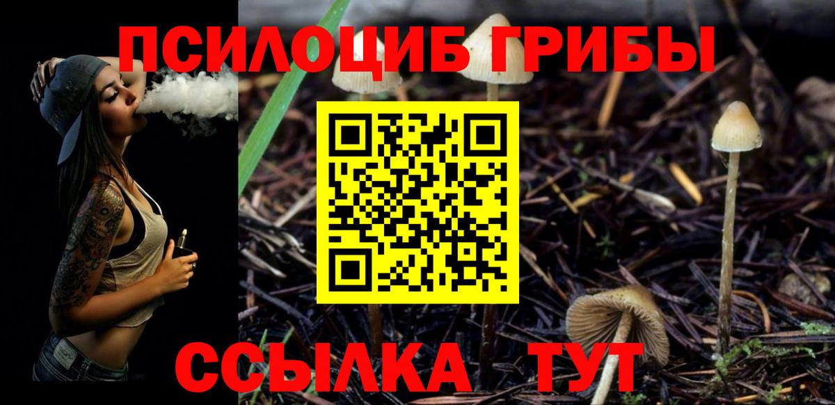 APVP СК   Заводоуковск  Вход с VPN  Мефедрон   Конопля  Кокаин  Гашиш 